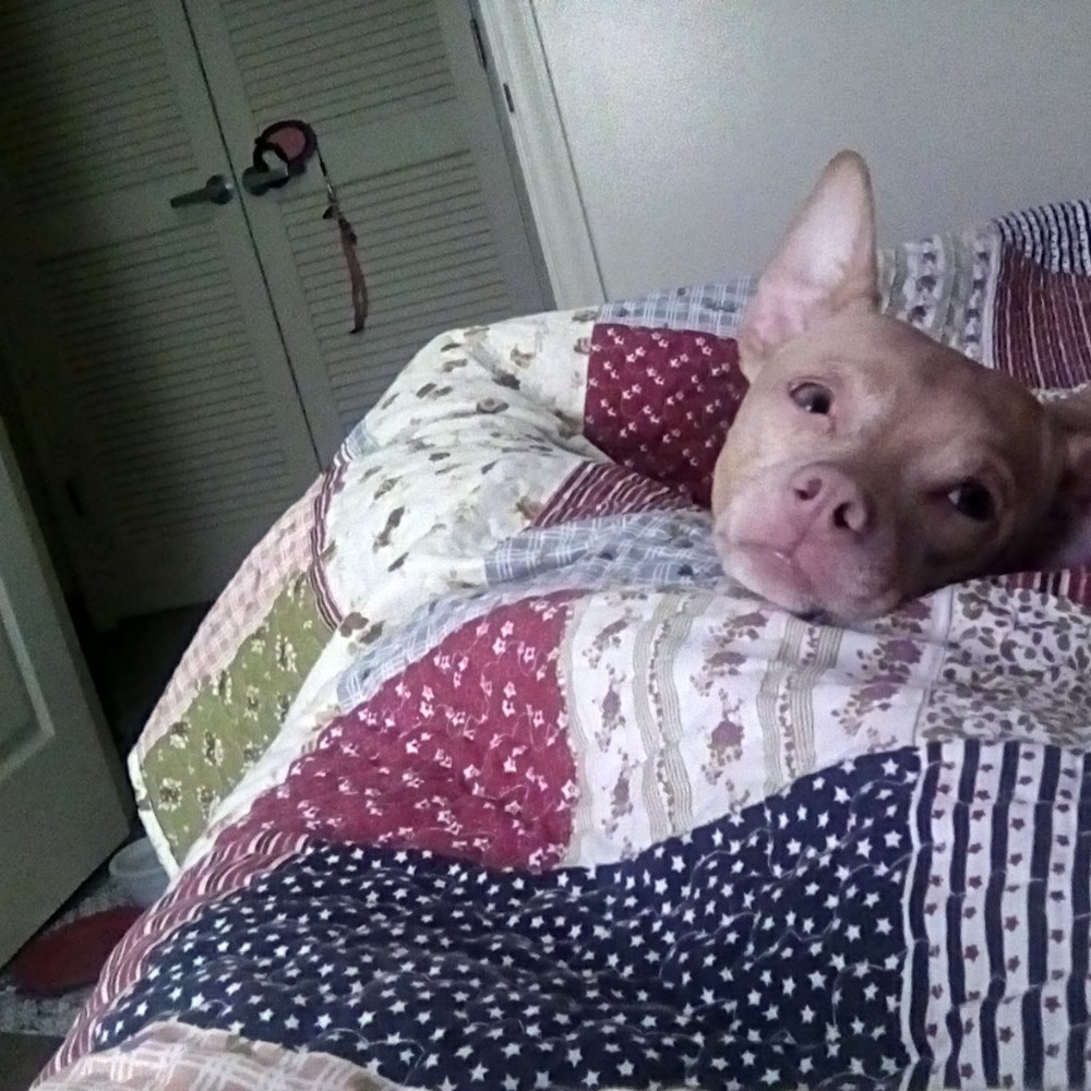 Meet your Posher, Heidi